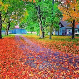 Meet your Posher, Arjumand